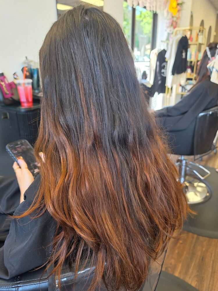 Brunette ombre color, back view